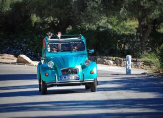 Little Knobbly Lives Again